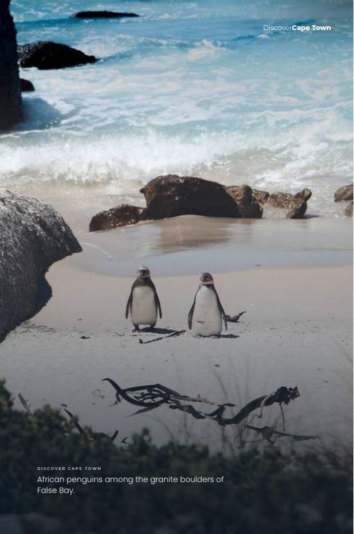 Preview page 4 of Cape Town