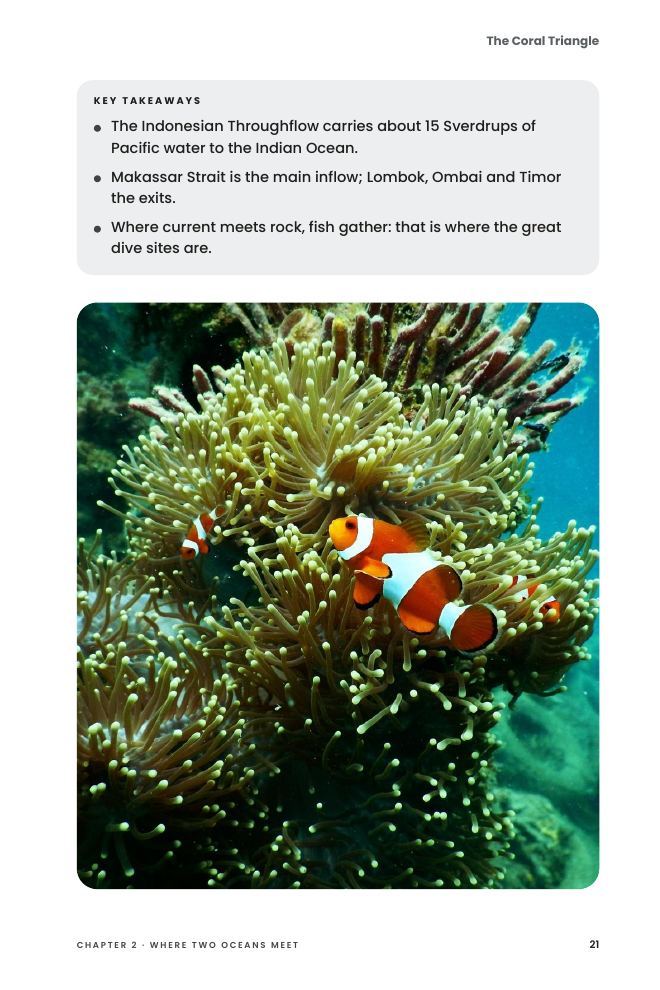 A page from The Coral Triangle