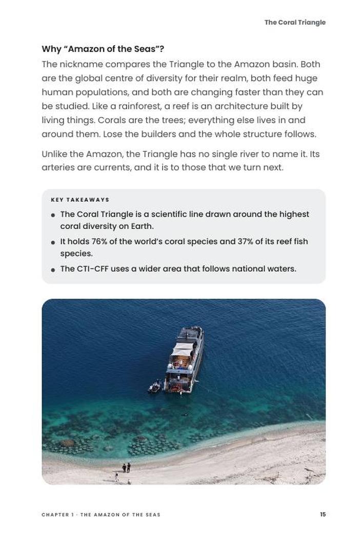 Preview page 15 of The Coral Triangle