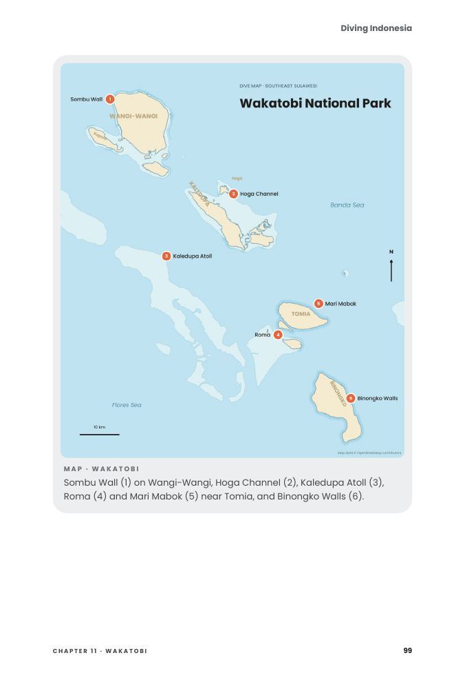 A page from Diving Indonesia