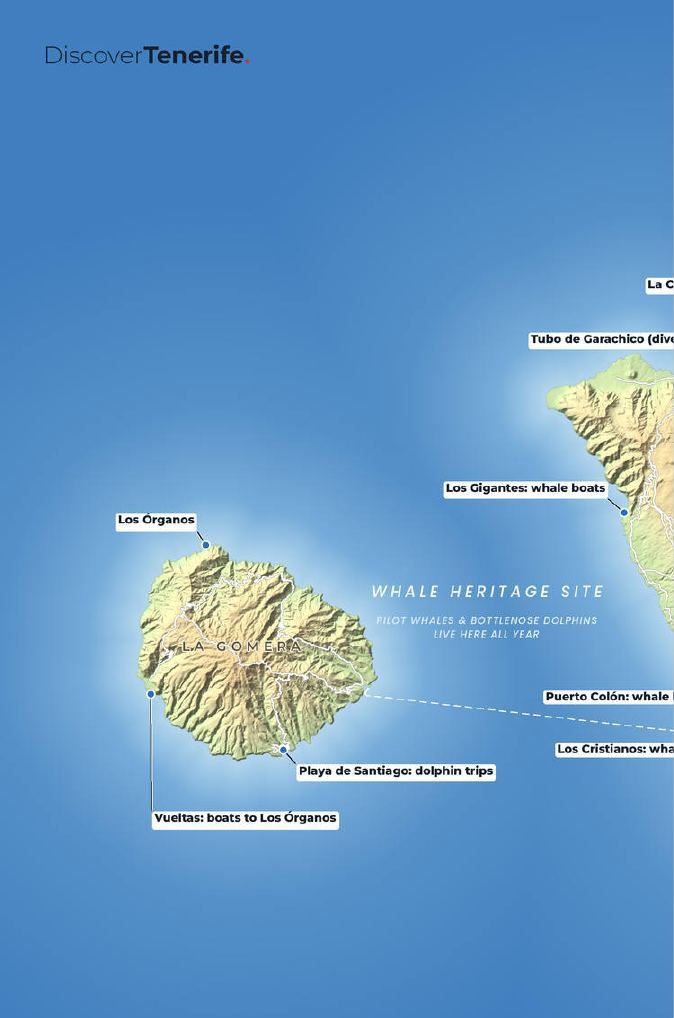 A page from Tenerife & La Gomera