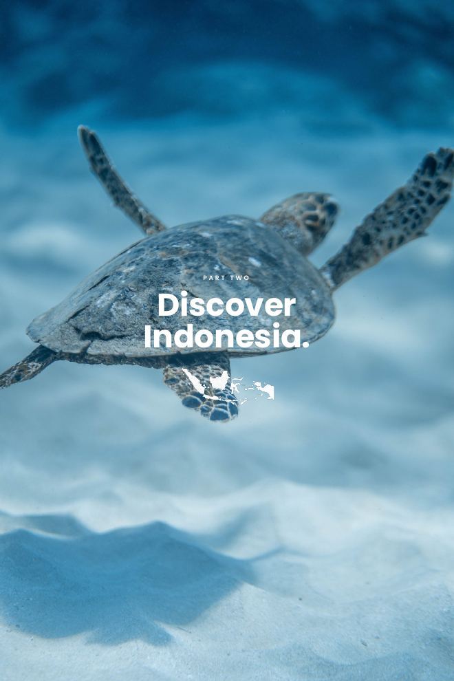 A page from Wakatobi National Park