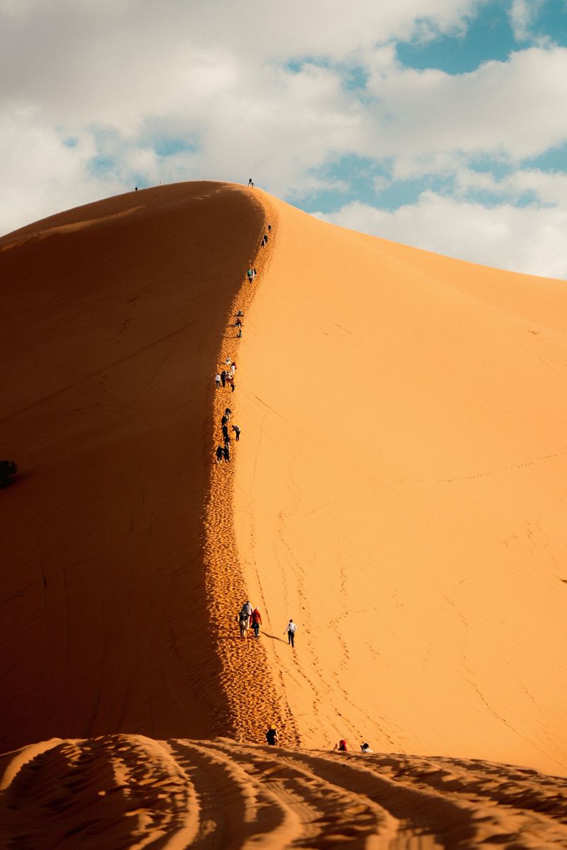 Desert dunes, On the road